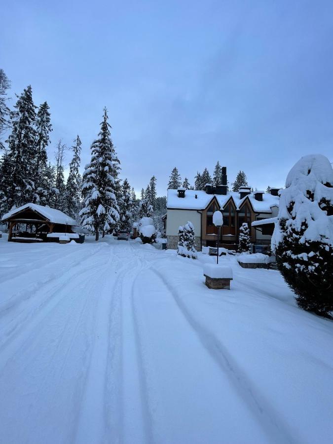Gosciniec Ozna Hotel Kiczora Екстериор снимка